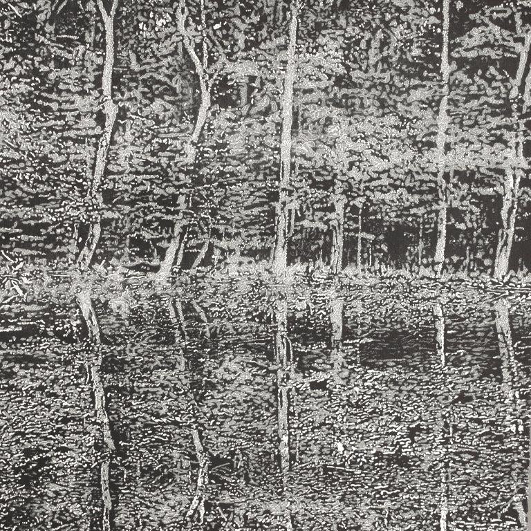 Original drypoint and relief by Trevor Price depicting trees reflecting in water