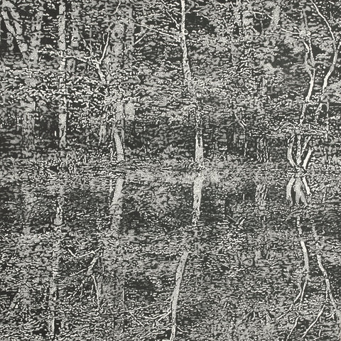 Trevor Price 'Reflections I' drypoint & engraved relief 35.5x35.5cm (unframed)