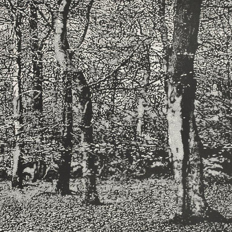 Trevor Price 'Woodland III' drypoint and engraved relief print - paper and image size 35.5x35.5cm