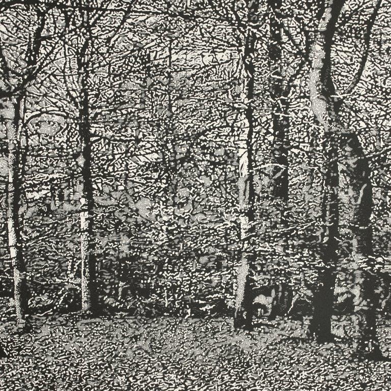 Woodland etching by Trevor Price at Iona House Gallery