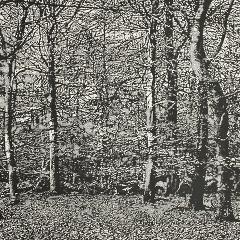 Trevor Price 'Woodland II' drypoint and engraved relief print- paper and image size 35.5x35.5cm