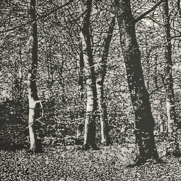 Monochrome study of woodland by Trevor Price at Iona House Gallery