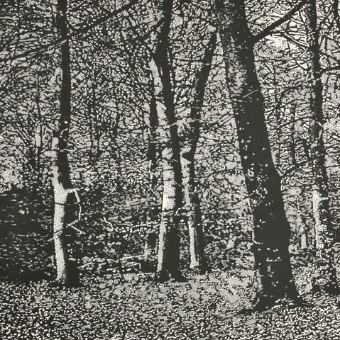 Trevor Price 'Woodland I' drypoint and engraved relief print - paper and image size 35.5x35.5cm