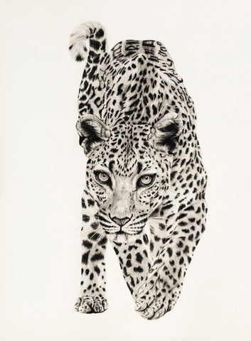Violet Astor 'Arabian Leopard' limited edition print 89x66cm