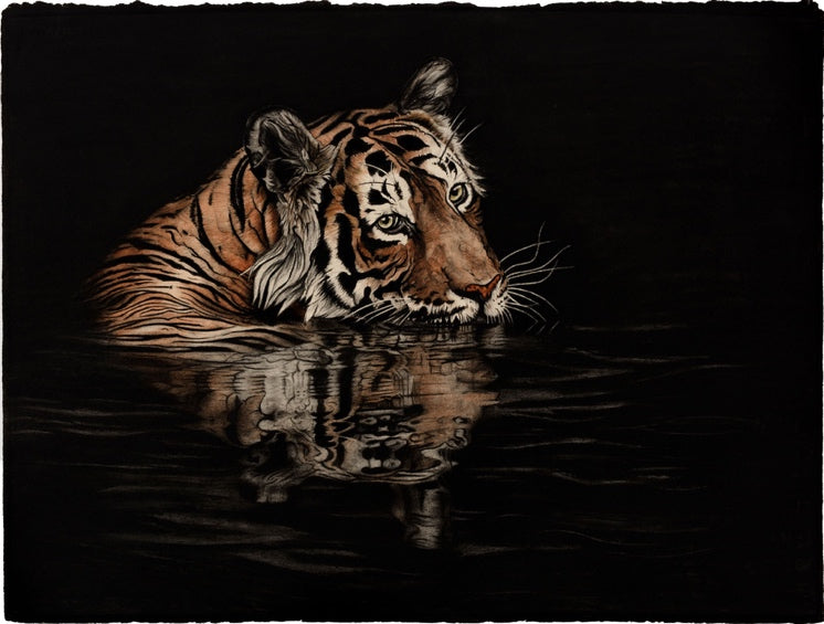 Violet Astor 'Chai & Paan Tiger - Water' limited edition print 51x64cm