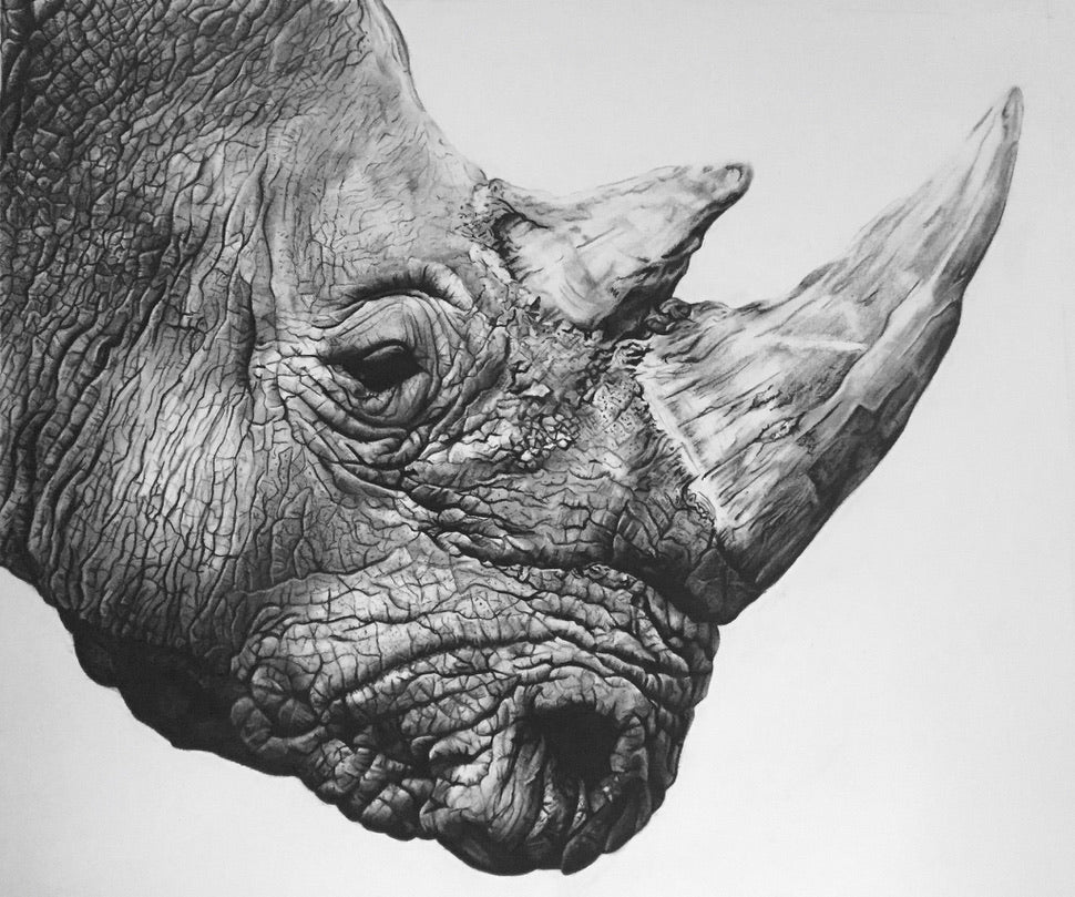 Violet Astor 'Northern White Rhino' limited edition print 51x64cm