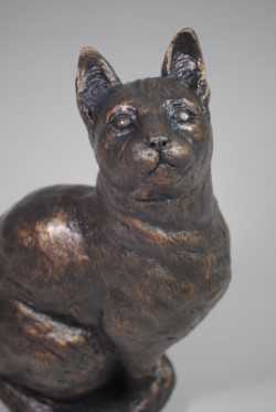 bronze resin cat sculpture by April Young at Iona House Gallery